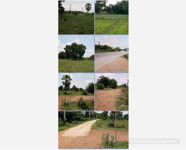 รูป Call : 064-556-2499 ขายที่ดินติดถนนสุวรรณศร อำเภอวัฒนานคร จังหวัดสระแก้ว 43 ไร่เศษ ทำเลทอง ใกล้ตัวเมืองสระแก้ว ใกล้เขตเศรษฐกิจพิเศษ - รูปที่ 5/10