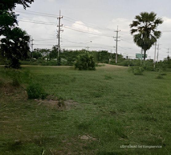 รูป Call : 064-556-2499 ขายที่ดินติดถนนสุวรรณศร อำเภอวัฒนานคร จังหวัดสระแก้ว 43 ไร่เศษ ทำเลทอง ใกล้ตัวเมืองสระแก้ว ใกล้เขตเศรษฐกิจพิเศษ - รูปที่ 1/10