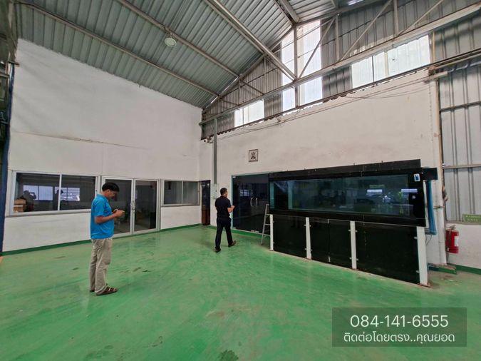 picture Warehouse and building for sale in Chonburi. - 18/64