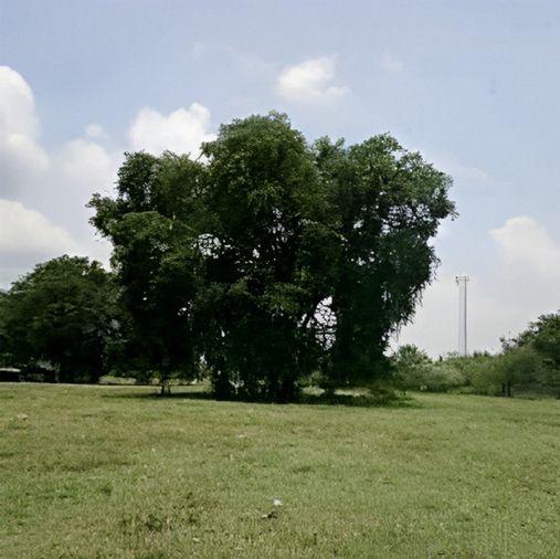 รูป Call : 064-556-2499 ขายที่ดินติดถนนสุวรรณศร อำเภอวัฒนานคร จังหวัดสระแก้ว 43 ไร่เศษ ทำเลทอง ใกล้ตัวเมืองสระแก้ว ใกล้เขตเศรษฐกิจพิเศษ - รูปที่ 4/10