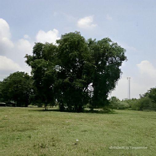 รูป Call : 064-556-2499 ขายที่ดินติดถนนสุวรรณศร อำเภอวัฒนานคร จังหวัดสระแก้ว 43 ไร่เศษ ทำเลทอง ใกล้ตัวเมืองสระแก้ว ใกล้เขตเศรษฐกิจพิเศษ - รูปที่ 4/10