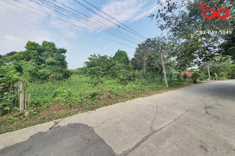 รูป ขายที่ดิน 366 ตรว. ถนนลำไทร หนองจอก ติดถนน 2 ด้าน ปลดล็อคทุกไลฟ์สไตล์ บนที่ดินผืนสวย - รูปที่ 1/6
