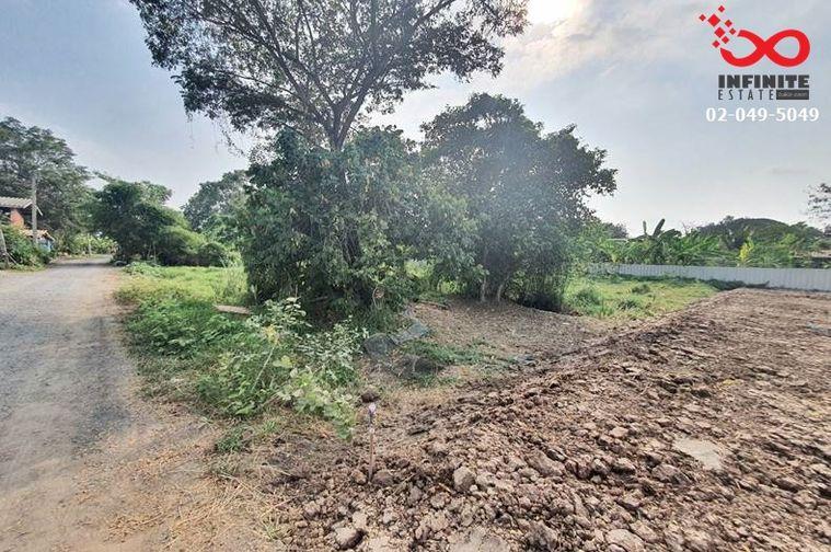 รูป ขายที่ดิน 366 ตรว. ถนนลำไทร หนองจอก ติดถนน 2 ด้าน ปลดล็อคทุกไลฟ์สไตล์ บนที่ดินผืนสวย - รูปที่ 5/6