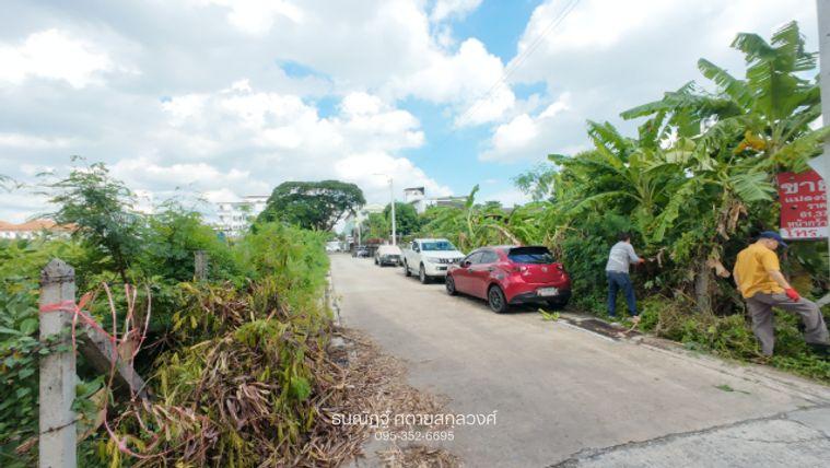 picture Beautiful corner plot of land in Ladprao 122. - 2/11