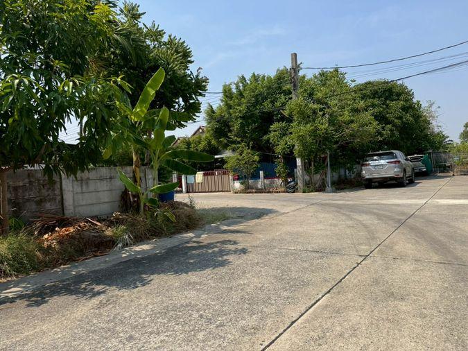รูป ขายบ้านเดี่ยว หนองจอก **ราคาพิเศษ บ้านร่มรื่นน่าอยู่** (N.2072) - รูปที่ 18/18