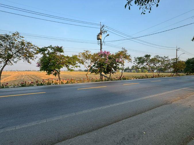 รูป ขายที่ดินแปลงใหญ่ 86 ไร่ ติดถนนประชาสำราญ **ขายราคาประเมิณต่ำกว่าตลาด** (N.2074) - รูปที่ 6/11