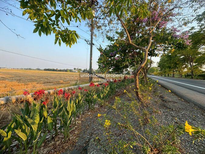 รูป ขายที่ดินแปลงใหญ่ 86 ไร่ ติดถนนประชาสำราญ **ขายราคาประเมิณต่ำกว่าตลาด** (N.2074) - รูปที่ 5/11