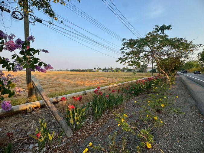 รูป ขายที่ดินแปลงใหญ่ 86 ไร่ ติดถนนประชาสำราญ **ขายราคาประเมิณต่ำกว่าตลาด** (N.2074) - รูปที่ 11/11