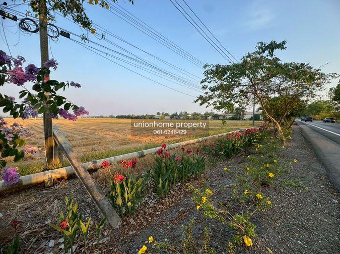 รูป ขายที่ดินแปลงใหญ่ 86 ไร่ ติดถนนประชาสำราญ **ขายราคาประเมิณต่ำกว่าตลาด** (N.2074) - รูปที่ 11/11
