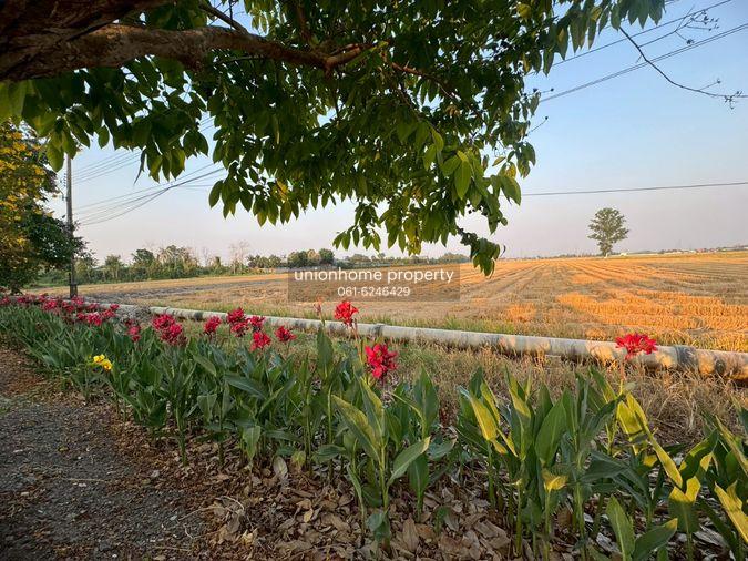 รูป ขายที่ดินแปลงใหญ่ 86 ไร่ ติดถนนประชาสำราญ **ขายราคาประเมิณต่ำกว่าตลาด** (N.2074) - รูปที่ 1/11