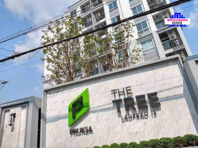 รูป ขายด่วน! คอนโด ห้องมุม วิวสวย ทำเลดี The Tree ลาดพร้าว 15 ห้องมุม สภาพใหม่ ใกล้ MRT ลาดพร้าว - รูปที่ 11/28