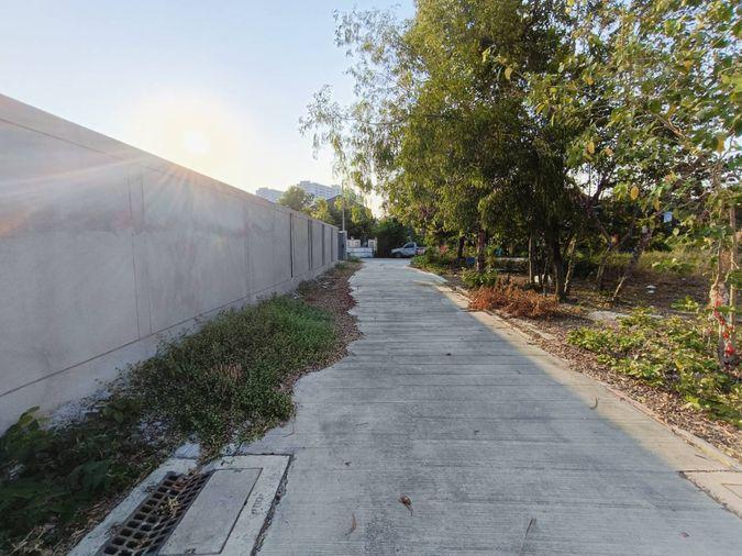 รูป  ขายที่ดินใกล้ทางด่วนศรีสมาน 400 เมตร สวยมากติดสวนสมเด็จ 200 เมตร  130 ตรว. ตรวละ 50,000 บาท   6,500,000  ลบ. - รูปที่ 7/15