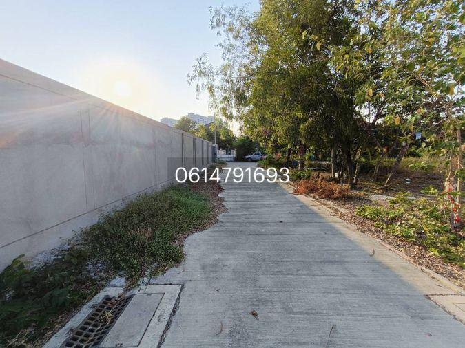 รูป ขายที่ดินใกล้ทางด่วนศรีสมาน 400 เมตร สวยมากติดสวนสมเด็จ 200 เมตร 130 ตรว. ตรวละ 50,000 บาท 6,500,000 ลบ. - รูปที่ 7/15