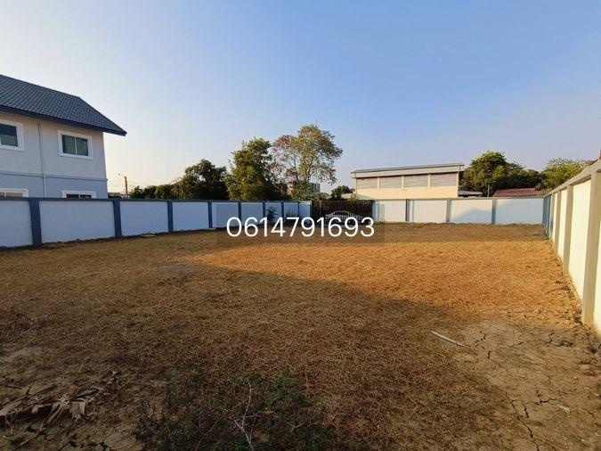 รูป ขายที่ดินใกล้ทางด่วนศรีสมาน 400 เมตร สวยมากติดสวนสมเด็จ 200 เมตร 130 ตรว. ตรวละ 50,000 บาท 6,500,000 ลบ. - รูปที่ 2/15