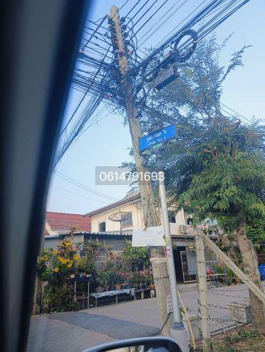 รูป ขายที่ดินใกล้ทางด่วนศรีสมาน 400 เมตร สวยมากติดสวนสมเด็จ 200 เมตร 130 ตรว. ตรวละ 50,000 บาท 6,500,000 ลบ. - รูปที่ 14/15