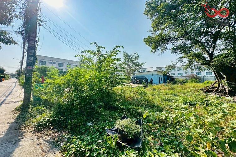 รูป ขายที่ดิน 105 ตร.ว. ถนนสุขุมวิท  ซอยอ่อนนุช 46 แยก 20 ถมแล้ว ใกล้รถไฟฟ้าสีเหลือง-สีเขียว - รูปที่ 3/7