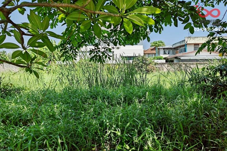 รูป ขายที่ดิน 100 ตรว. เกษตรนิเวศน์ 8 ถนนแจ้งวัฒนะ ซอยแจ้งวัฒนะ 14 ใกล้รถไฟฟ้าสีชมพู - รูปที่ 6/7