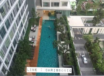 picture 🔥 FOR SALE – Condo only 110 m from BTS, pool & city view, fully furnished - 6/8