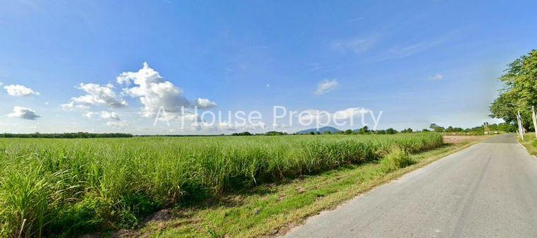 รูป ขายที่ดินแปลงใหญ่ บ้านบึง ใกล้ถนน 331 ทำเลดี เดินทางสะดวก - รูปที่ 4/7