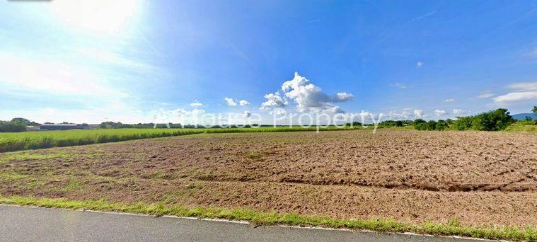 รูป ขายที่ดินแปลงใหญ่ บ้านบึง ใกล้ถนน 331 ทำเลดี เดินทางสะดวก - รูปที่ 2/7