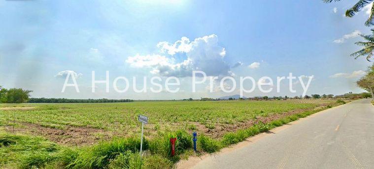 รูป ขายที่ดินแปลงใหญ่ บ้านบึง ใกล้ถนน 331 ทำเลดี เดินทางสะดวก - รูปที่ 3/7