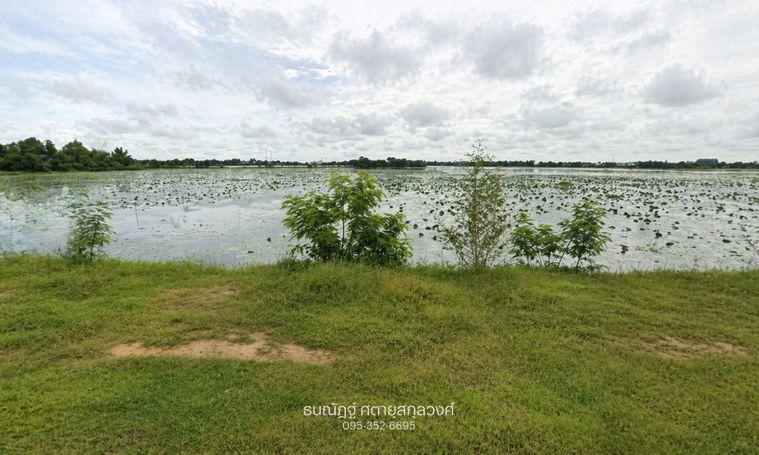 รูป บ้านทรงไทยริมบึง 2 ไร่ วิวหลักล้าน โฉนดพร้อมโอน ที่ชัยภูมิ - รูปที่ 5/7