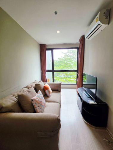 รูป ปล่อยเช่า ริทึ่ม สุขุมวิท 44/1 1 ห้องนอน 35 ตร.ม. ราคาดีที่สุดในตึก! ติดบีทีเอส พระโขนง! - รูปที่ 3/14