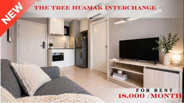 รูป 🍀🍀 Fully furnished💝 ให้เช่า📌 เดอะทรี หัวหมาก อินเตอร์เชนจ์(Line: @rent2022) MRT ลำสาลี✨ พร้อมเข้าอยู่ 🔖A11245 - รูปที่ 1/11