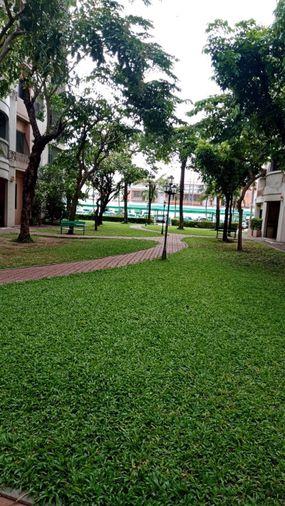 รูป 🔥ขายคอนโดห้องใหญ่ Nontree Park Ville นนทรีพาร์ควิลล์   พื้นที่กว้างขวาง  วิวโล่ง ลมดี 📍  ใกล้มหาวิทยาลัยรังสิตและรถไฟฟ้าคูคต - รูปที่ 8/9