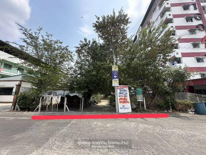รูป ขายที่ดิน 206ตรว.ทำเลดี พิกัด บางแค เพชรเกษม หนองแขม ใกล้ อพาร์ทเม้นท์ โรงเรียน ตลาด ฯ - รูปที่ 2/11