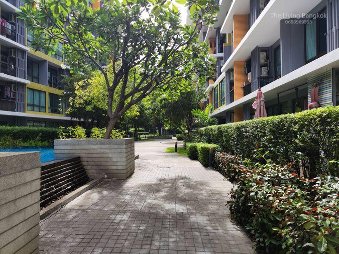 picture For Rent Icondo Sulhumvit103 1Bedroom for rent - 21/23