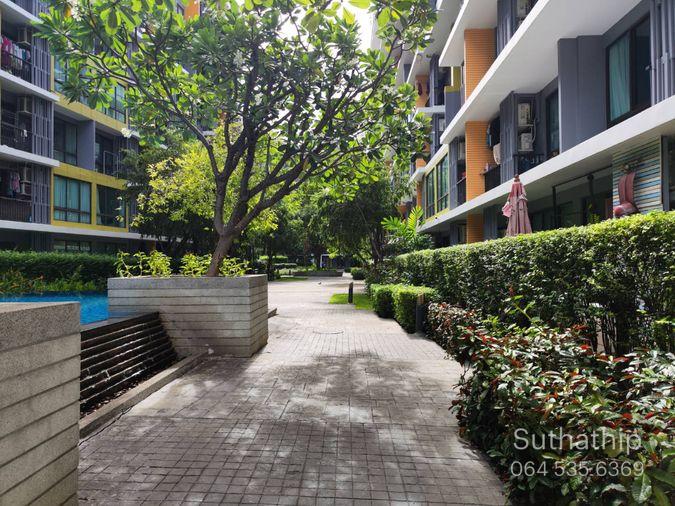 รูป ให้เช่า ไอคอนโด สุขุมวิท103 ห้องสวย เฟอร์ครบ - รูปที่ 21/23