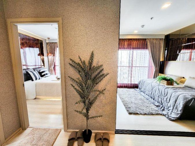 รูป ให้เช่าคอนโด Life Sukhumvit 48 ใกล้ BTS พระโขนง แต่งสไตล์โรงแรม (Rt-01) - รูปที่ 5/14