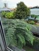 listing thumbnail image 11