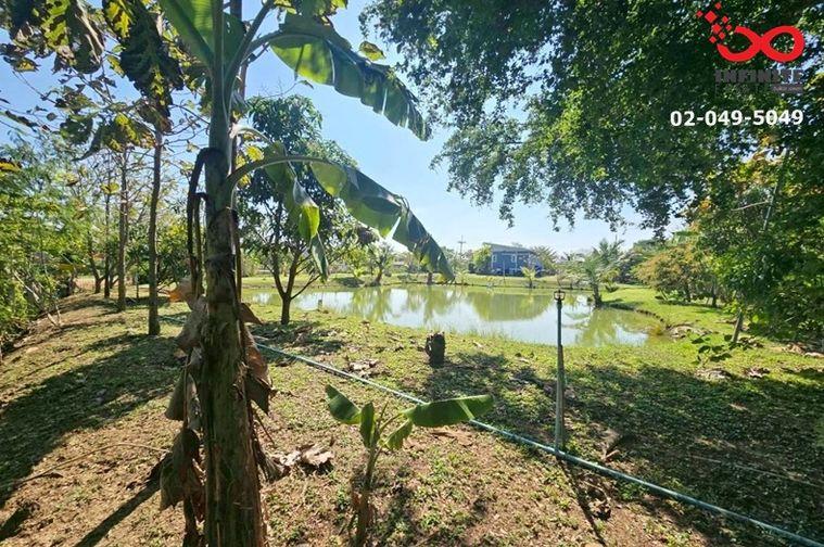 รูป ขายที่ดิน หนองงูเหลือม นครปฐม 1 ไร่ 3 งาน ถนนบุญญานุศาสน์ พร้อมบ้านน็อกดาวน์  - รูปที่ 7/12