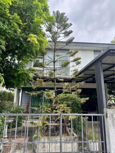 รูป 🔥 ขาย บ้านเดี่ยวสไตล์โมเดิร์น  Inizio Rangsit Klong 3 อินิซิโอ รังสิต คลอง 3 🌳 สภาพดี เพื่อนบ้านน่ารัก ใกล้แหล่งชุมชน เดินทางสะดวก  - รูปที่ 1/9