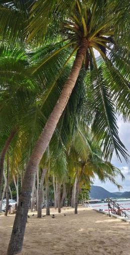 picture Beachfront land for sale in Bang Saray with stunning sea views. Rare location. - 7/8