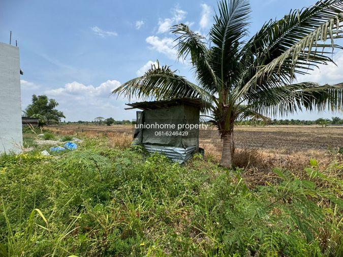 รูป ขายที่ดินสวย ถมแล้วพร้อมใช้ ซอยสุวินทวงศ์47 **เพียง 800,000 บาท** ราคาดี เหมาะลงทุน (N.2095) - รูปที่ 12/20