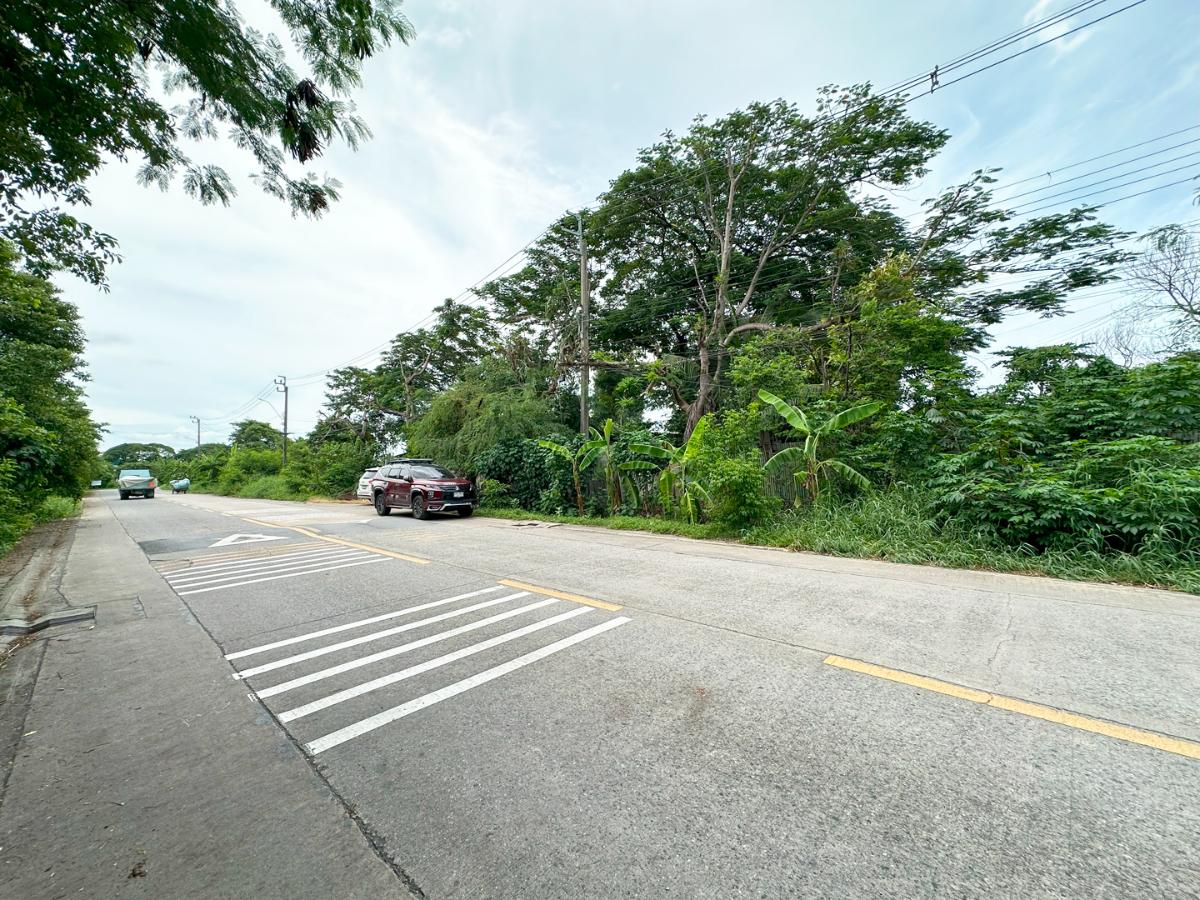 picture 🏙️ Land for Rent - Suwinthawong Road | 200 sq.wah REF. 003LSREK - 14/16