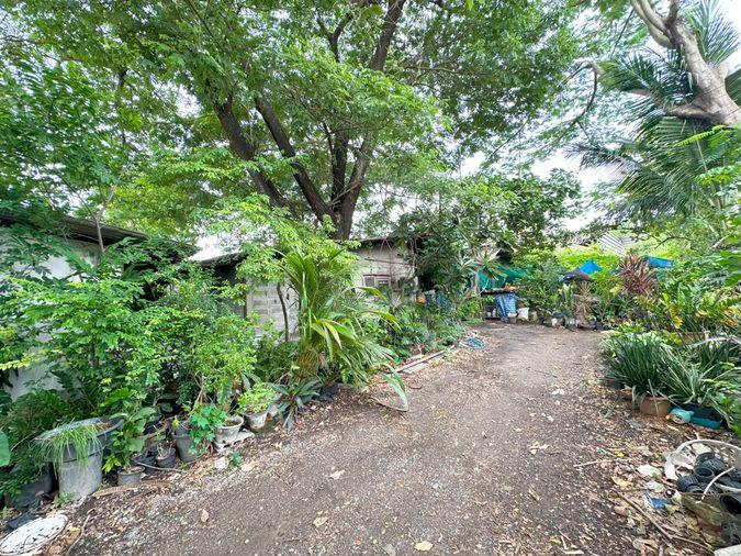 picture 🏙️ Land for Rent - Suwinthawong Road | 200 sq.wah REF. 003LSREK - 11/16