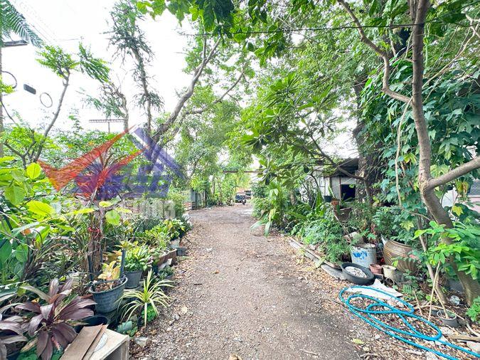 picture 🏙️ Land with Buildings for Rent - Suwinthawong | 2 Rai REF. 003LSREK - 14/16