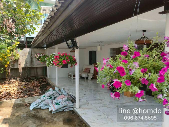 รูป 🏡 บ้านเดี่ยวให้เช่า อุดมสุข 48 | สุขุมวิท 103 | Pet Friendly พร้อมเฟอร์ฯ + เครื่องใช้ไฟฟ้าครบ ใกล้ BTS อุดมสุข - รูปที่ 19/20
