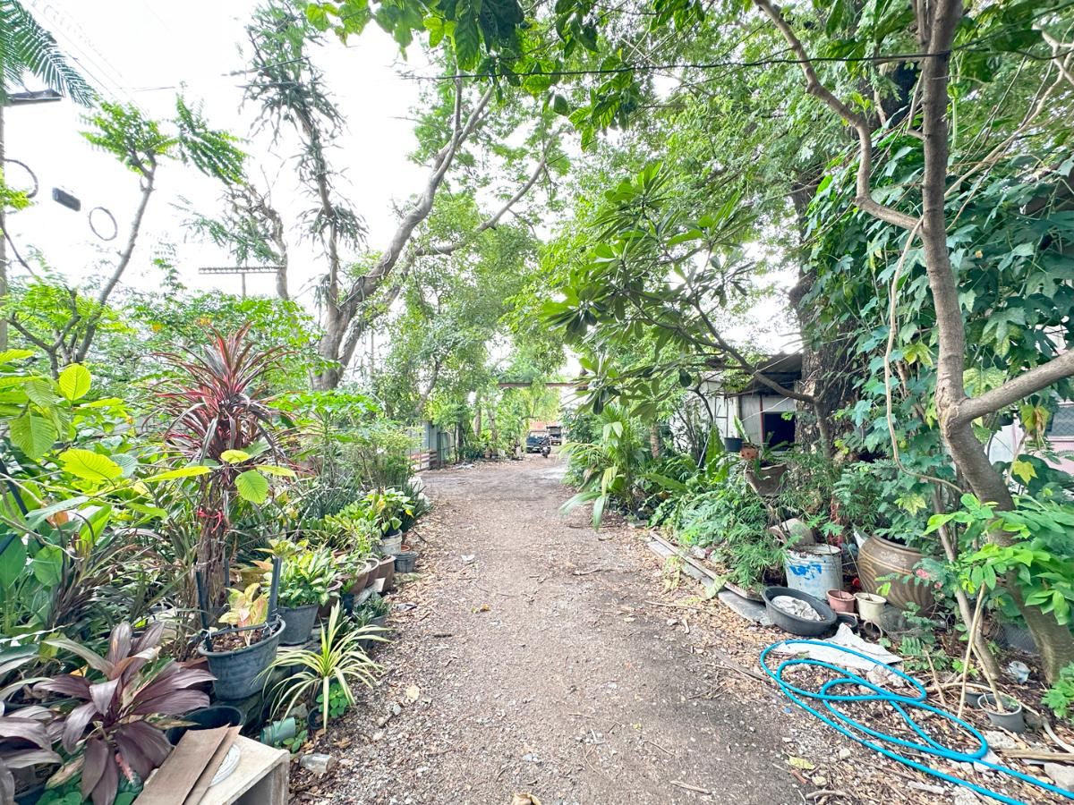 picture 🏙️ Land for Rent - Suwinthawong Road | 200 sq.wah REF. 003LSREK - 12/16
