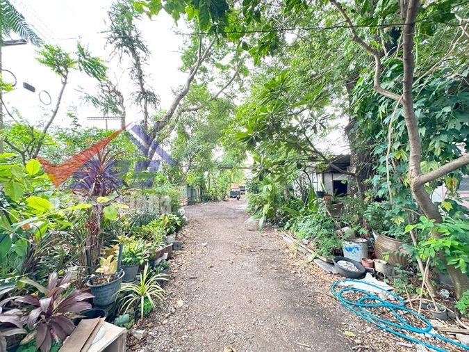 picture 🏙️ Land for Rent - Suwinthawong Road | 200 sq.wah REF. 003LSREK - 12/16