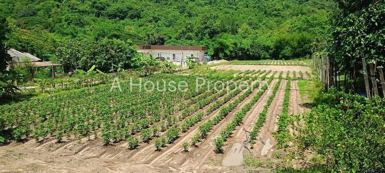 รูป ขายที่ดินบ่อวิน ศรีราชา ชลบุรี แปลงสวย ทำเลดี ติดภูเขา - รูปที่ 6/14