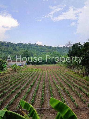 รูป ขายที่ดินบ่อวิน ศรีราชา ชลบุรี แปลงสวย ทำเลดี ติดภูเขา - รูปที่ 2/14