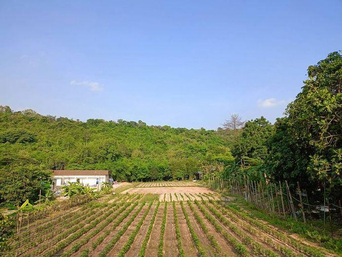 picture Land for sale in Bowin, Sriracha, Chonburi. Beautiful plot, excellent location, next to the mountains. - 3/14