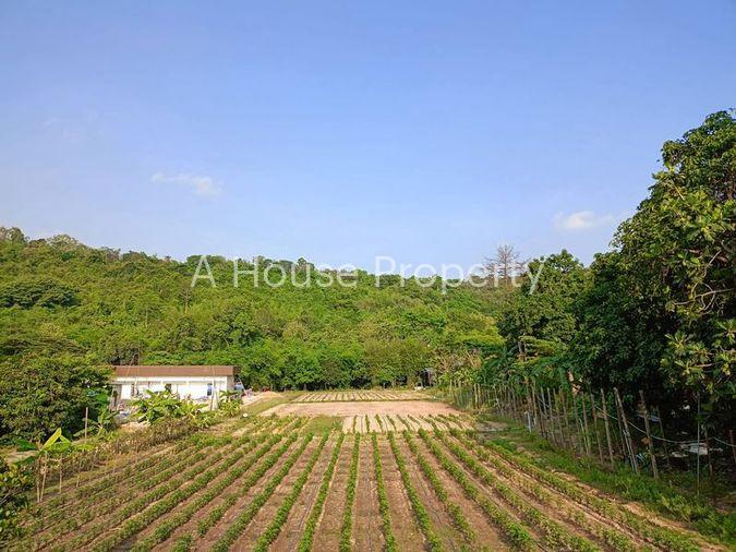 รูป ขายที่ดินบ่อวิน ศรีราชา ชลบุรี แปลงสวย ทำเลดี ติดภูเขา - รูปที่ 3/14