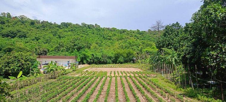 picture Land for sale in Bowin, Sriracha, Chonburi. Beautiful plot, excellent location, next to the mountains. - 1/14