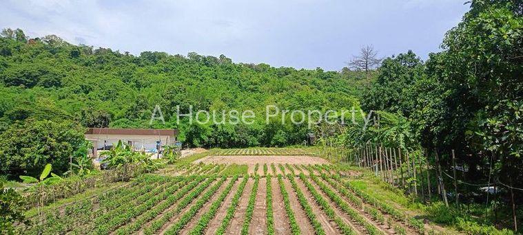 รูป ขายที่ดินบ่อวิน ศรีราชา ชลบุรี แปลงสวย ทำเลดี ติดภูเขา - รูปที่ 1/14